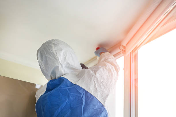 Mold Documentation for Insurance Claims in Bonita Springs, FL