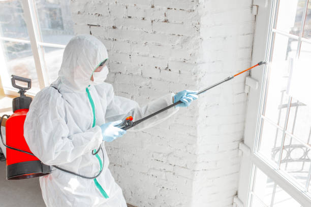 Trusted Bonita Springs, FL Mold Removal & Remediation Experts